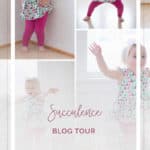 Succulence Blog Tour | The Simple Life Pattern Company