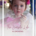 The Simple Life Pattern Company is Growing