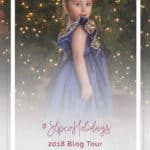 Hello Simple Life Pattern Company fans! Gail here from Little Pink Pumpkin. I am so excited to bring you this years holiday blog tour! We have an absolutely fantastic line-up of bloggers who will be sharing their amazing holiday projects made using  Simple Life Patterns.