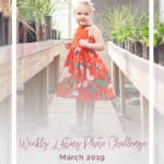 The Simple Life Pattern Company | Weekly Listing Photo Challenge: March 2019
